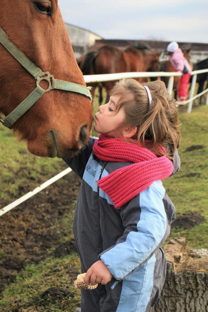 puce bapteme poney enfant ecurie animaux cheval